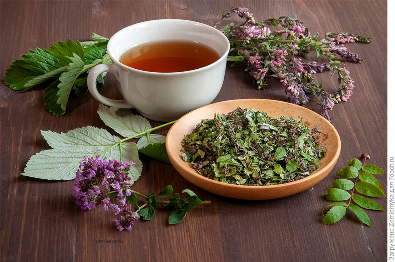 R'Recept - Дикие травы чайник